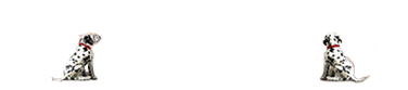 Stay and Play Dog Boarding, Logo